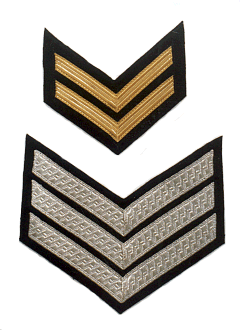 chevron.gif (39183 bytes)