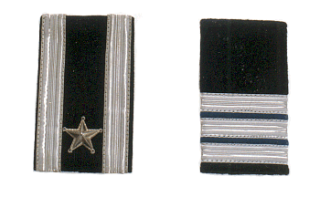 sleever_shoulders_eppulettes9.gif (39047 bytes)