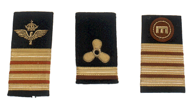 sleever_shoulders_eppulettes92.gif (37211 bytes)