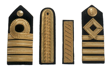 sleever_shoulders_eppulettes94.gif (56089 bytes)